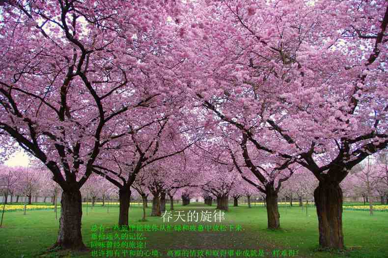 音乐游戏节奏大师_游戏音乐 mp3_音乐游戏节奏游戏推荐