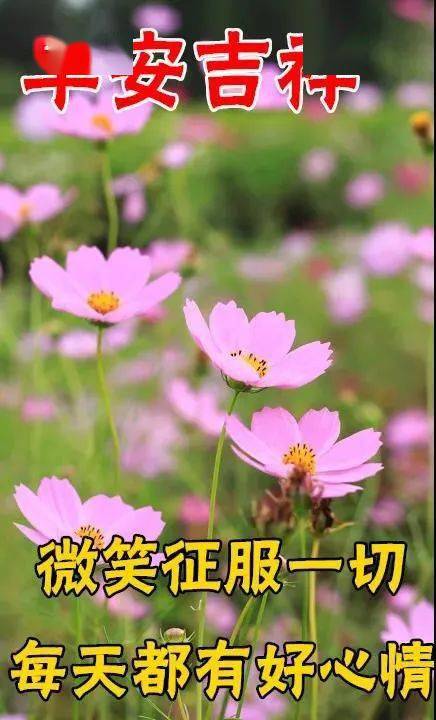 冥皇颠覆2.05_冥皇颠覆gt1.33_颠覆v3.0