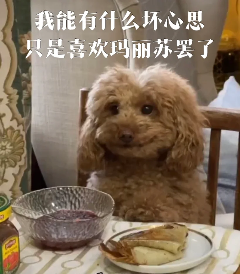 炫舞昵称符号_昵称复制炫舞怎么弄_炫舞昵称怎么复制