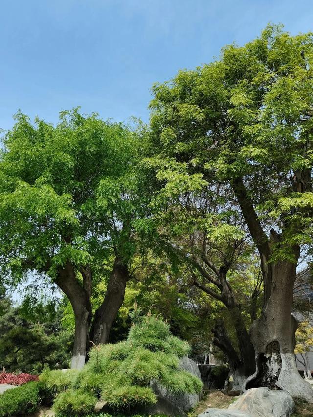 赛尔号黄金十二宫在哪_赛尔号黄金十二宫邀请函_赛尔号黄金十二宫水瓶