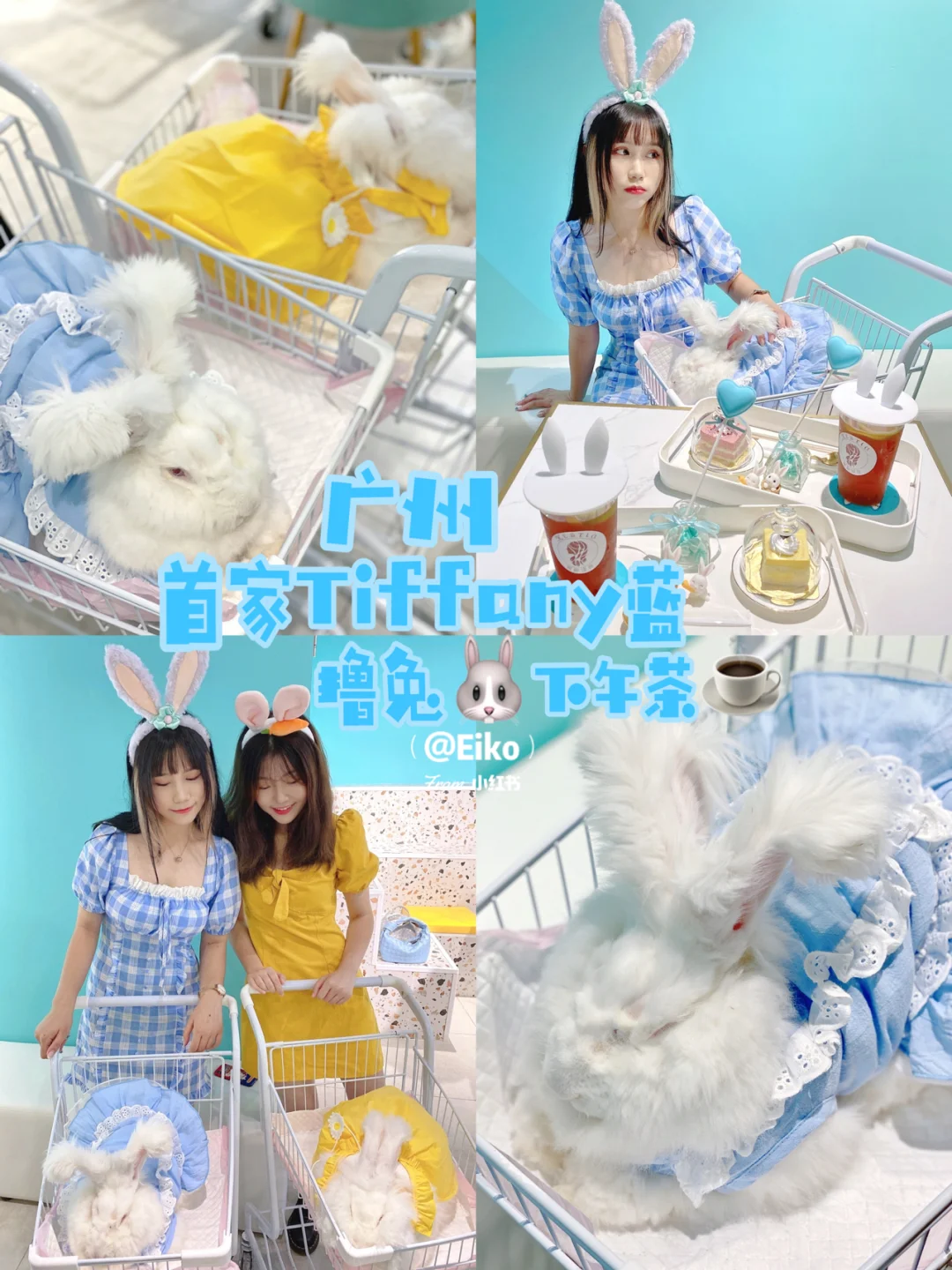 动漫耳朵绘画_有耳朵的动漫人物女_5个女孩五中颜色和1只长耳朵的东西是什么动漫