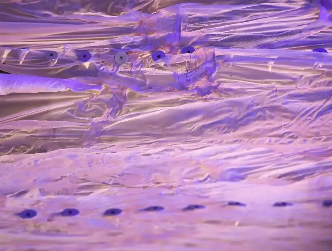 敏感词检测器_敏感词检测器_敏感词检测器