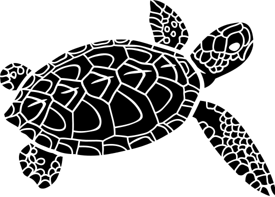 logo海龟作图 动画-海龟画家：在数字世界中绘制绚丽动画画卷的故事