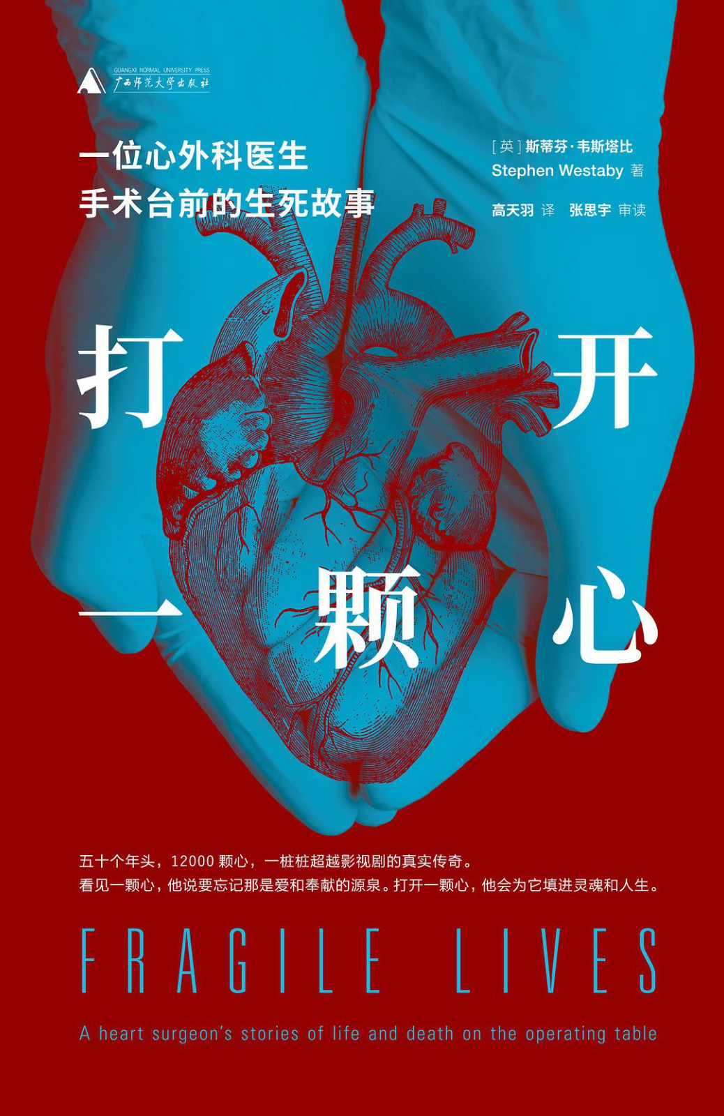 欧美壮熊动画_外国熊的动漫电影_壮熊动漫头像图片