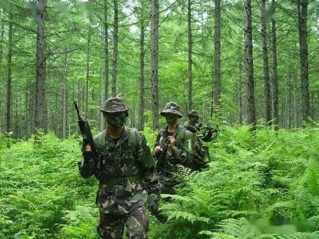 各国特种部队名称_各国特种部队名字_各国的特种部队实力排名
