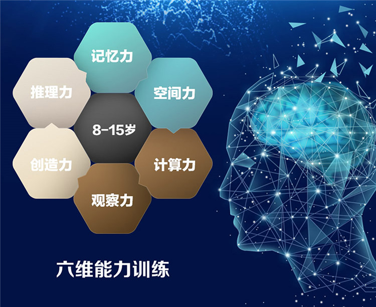 161关最强大脑_史上最强大脑,21关_最强大脑关卡