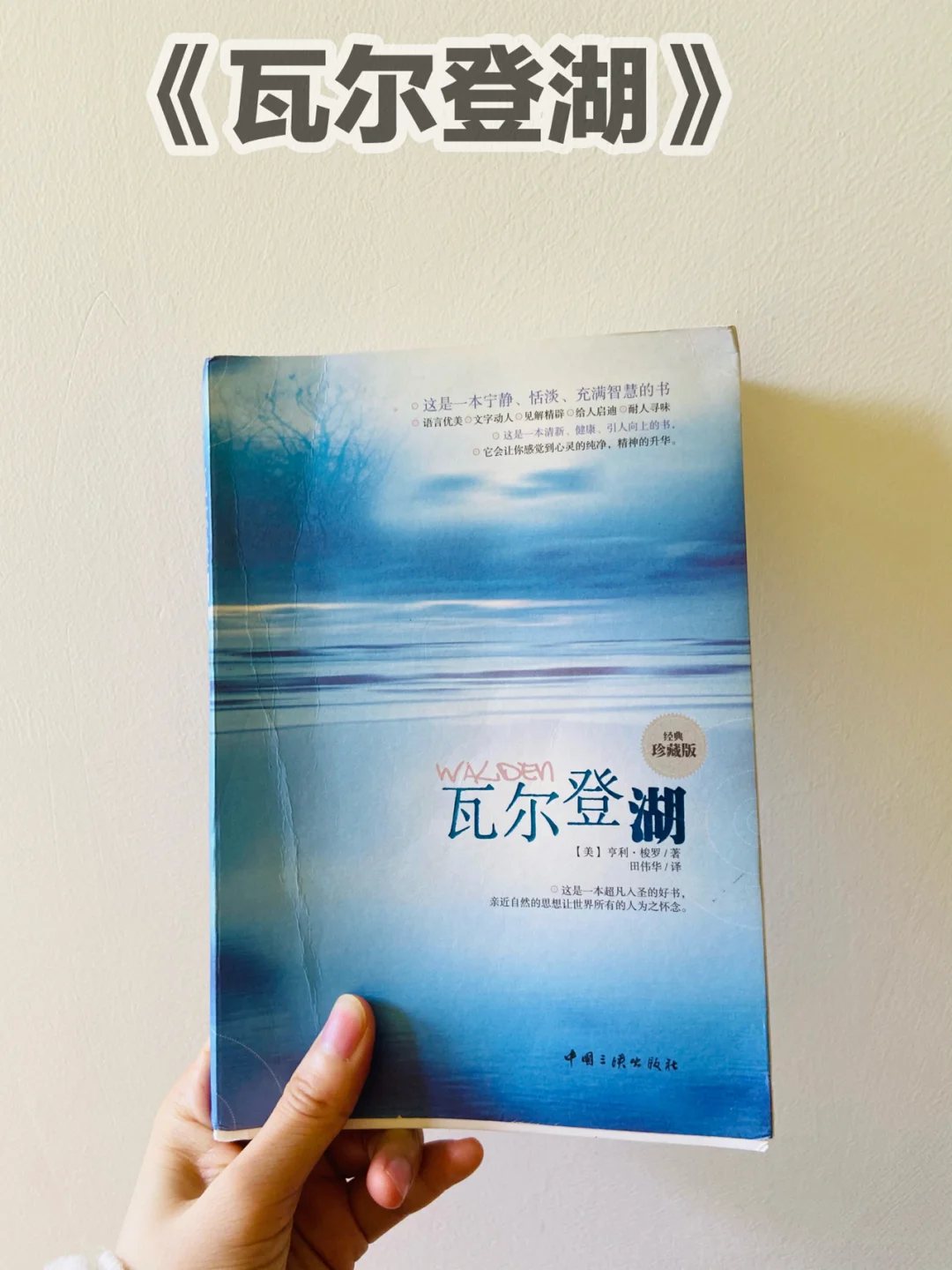 小鸡复仇记读后感_小鸡复仇记的作者_小鸡复仇记故事