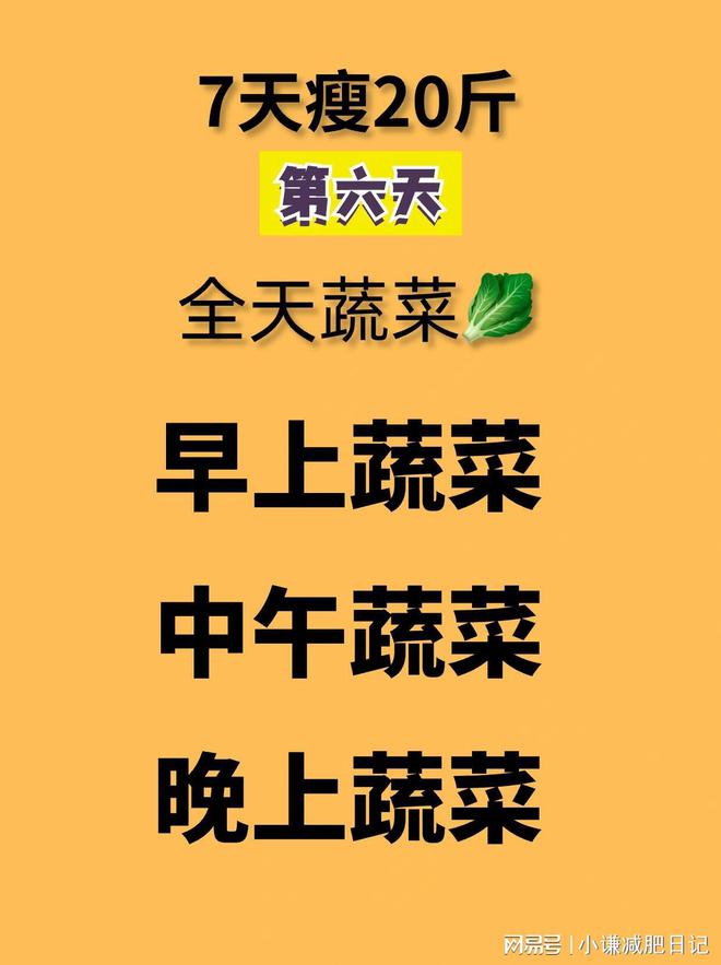 凯立德2024 减肥工具_凯立德2014减肥工具_凯立德导航减肥工具