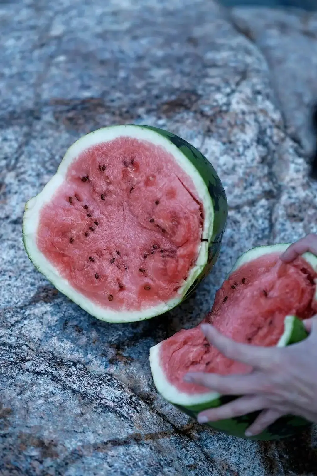 小熊运西瓜作文_小熊西瓜船看图写话_写小熊和西瓜瓢的作文