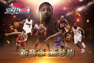 nba梦之队,传奇与荣耀的代名词