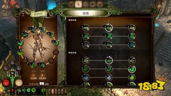 战锤混沌祸根传奇等级有什么用,战锤混沌祸根传奇等级的用途与重要性
