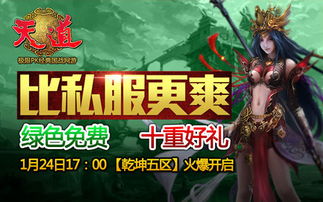 天道私服,游戏体验与风险并存