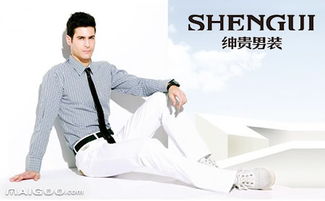 shengui,搜索引擎优化（SEO）的重要性与最佳实践