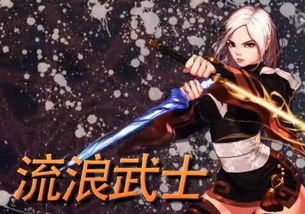 暗殿骑士和流浪武士哪个好,暗殿骑士装备搭配