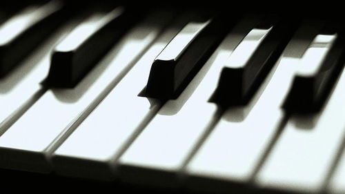 magicpiano,MagicPiano——引领音乐新潮流的创新钢琴
