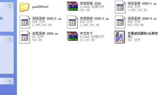 pes2009中文补丁,让你的足球体验更加完美