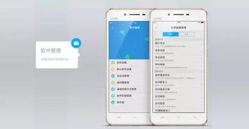 怎么查看vivo手机安卓系统,vivo手机安卓系统版本查询指南