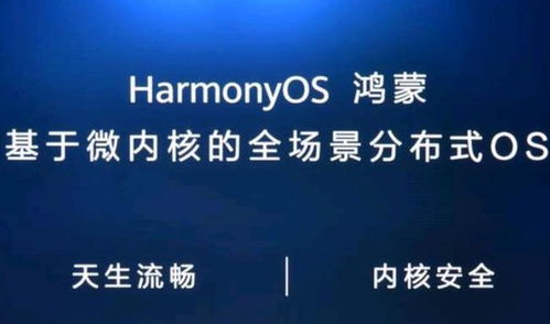 国产安卓系统 上市公司,国产安卓系统上市公司发展概览