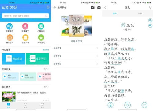 安卓系统哪里看机子版本,解锁更多功能