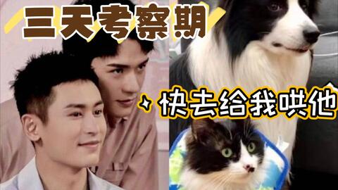 钉钉异地打卡安卓系统,助力远程办公新体验