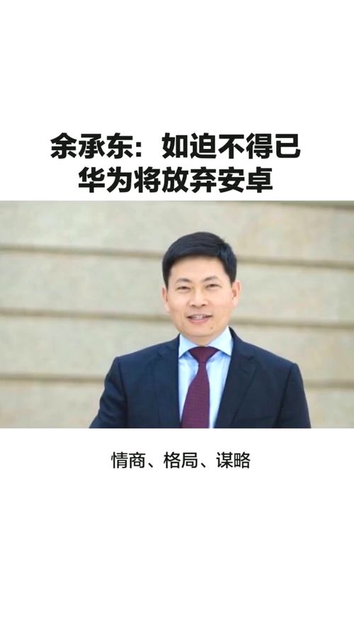 安卓系统怎么找不到桌面,排查与解决指南