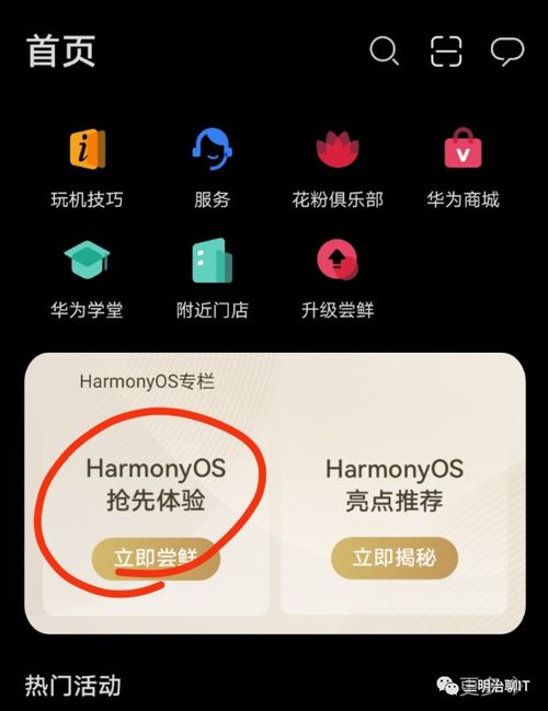 华为安卓怎么换鸿蒙系统,华为安卓设备轻松升级鸿蒙系统全攻略