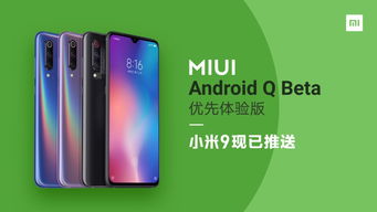 小米9系统玩法安卓版本,解锁安卓版本新境界