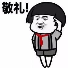 安卓系统添加敬礼表情包,趣味互动更上一层楼