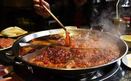 凑凑火锅攻略系统和安卓,安卓系统下的美食探索之旅