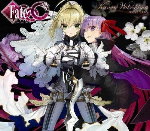 fate ccc游戏安卓版,开启奇幻冒险之旅