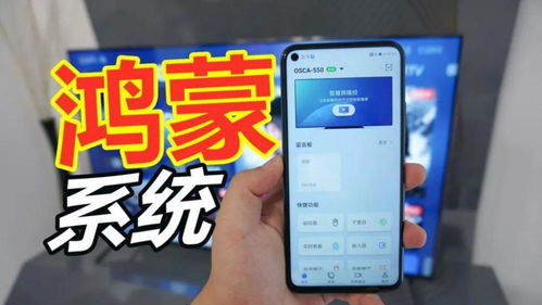 华为能抗衡安卓系统吗,探索自主操作系统崛起之路