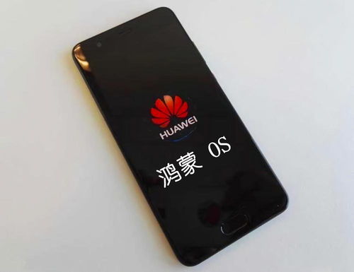 安卓和华为系统哪个好,揭秘哪个更胜一筹