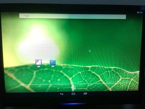 电脑上安装安卓电视系统,电脑上畅享智能娱乐新体验